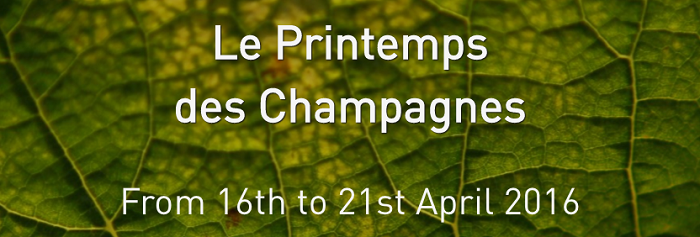 Simon Källquist at le Printemps des Champagnes 2016