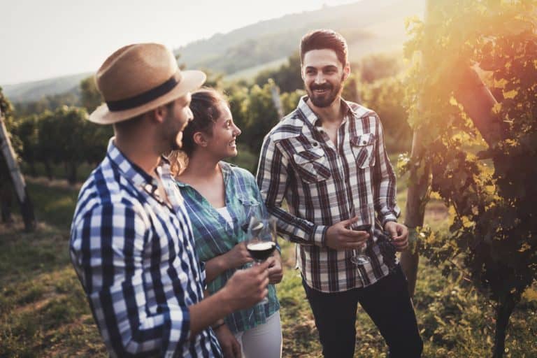 WineTourism.com: Personalized Wine Tours